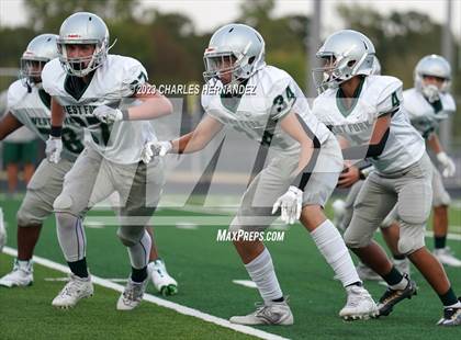 Thumbnail 1 in West Fork @ College Station (A Teams) photogallery.
