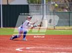 Photo from the gallery "Rock Hill @ Allen"