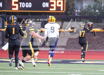 Thumbnail 2 in Milpitas @ Mountain View photogallery.