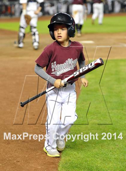 Thumbnail 3 in Mesquite vs. Hamilton photogallery.