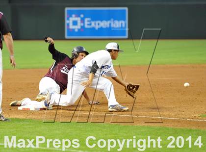 Thumbnail 2 in Mesquite vs. Hamilton photogallery.