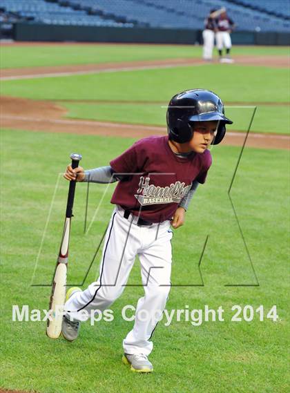 Thumbnail 2 in Mesquite vs. Hamilton photogallery.