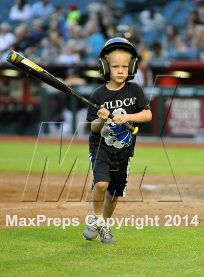 Thumbnail 1 in Mesquite vs. Hamilton photogallery.