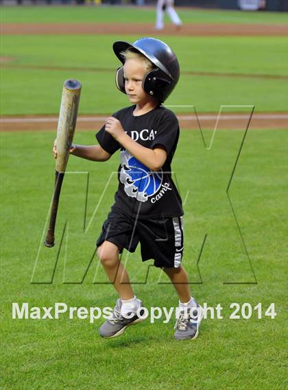 Thumbnail 2 in Mesquite vs. Hamilton photogallery.