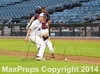 Thumbnail 2 in Mesquite vs. Hamilton photogallery.