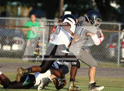 Thumbnail 2 in Weeki Wachee @ Central  photogallery.