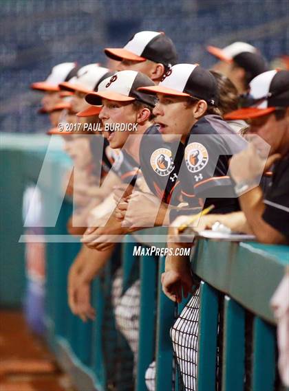 Thumbnail 1 in Pennsbury vs. Dallastown (PIAA 6A Final) photogallery.
