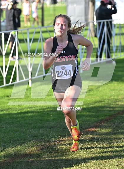 Thumbnail 1 in UIL Cross Country 5A Finals (5K) photogallery.
