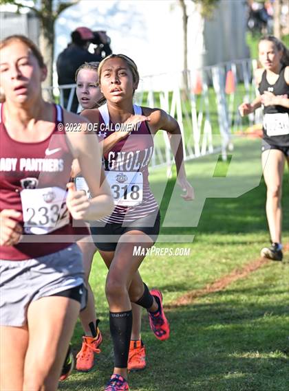 Thumbnail 1 in UIL Cross Country 5A Finals (5K) photogallery.