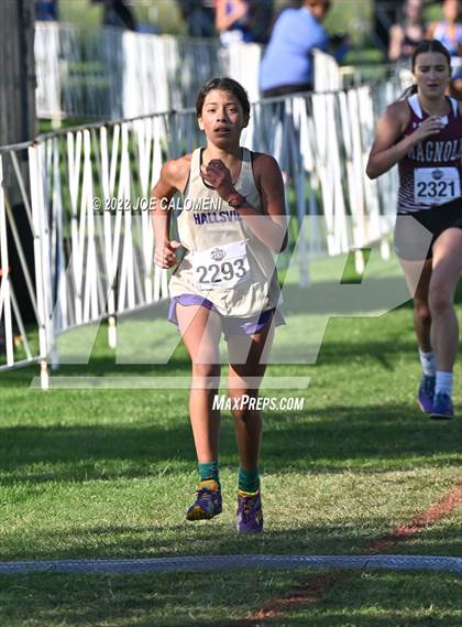 Thumbnail 2 in UIL Cross Country 5A Finals (5K) photogallery.