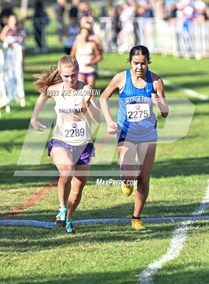 Thumbnail 3 in UIL Cross Country 5A Finals (5K) photogallery.