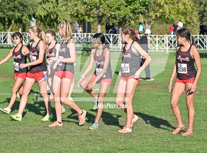 Thumbnail 1 in UIL Cross Country 5A Finals (5K) photogallery.