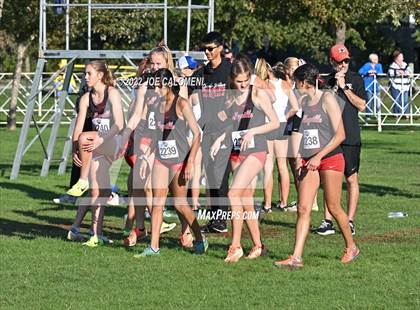 Thumbnail 1 in UIL Cross Country 5A Finals (5K) photogallery.