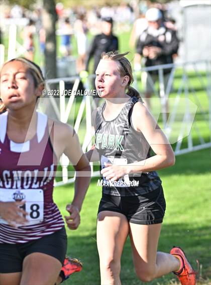 Thumbnail 2 in UIL Cross Country 5A Finals (5K) photogallery.