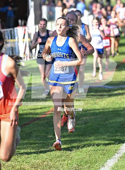 Thumbnail 1 in UIL Cross Country 5A Finals (5K) photogallery.
