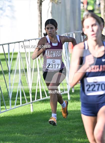 Thumbnail 2 in UIL Cross Country 5A Finals (5K) photogallery.