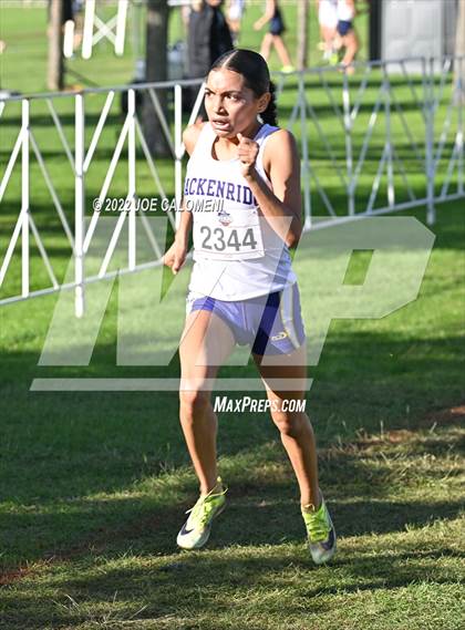 Thumbnail 3 in UIL Cross Country 5A Finals (5K) photogallery.