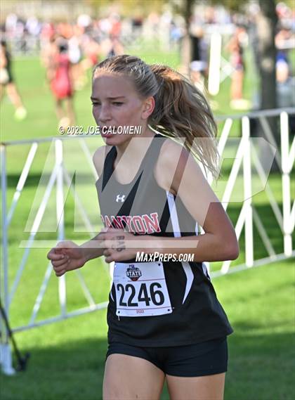 Thumbnail 1 in UIL Cross Country 5A Finals (5K) photogallery.