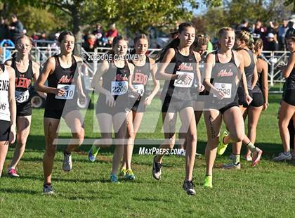Thumbnail 3 in UIL Cross Country 5A Finals (5K) photogallery.