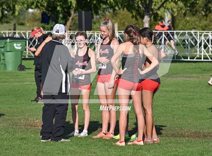Thumbnail 1 in UIL Cross Country 5A Finals (5K) photogallery.