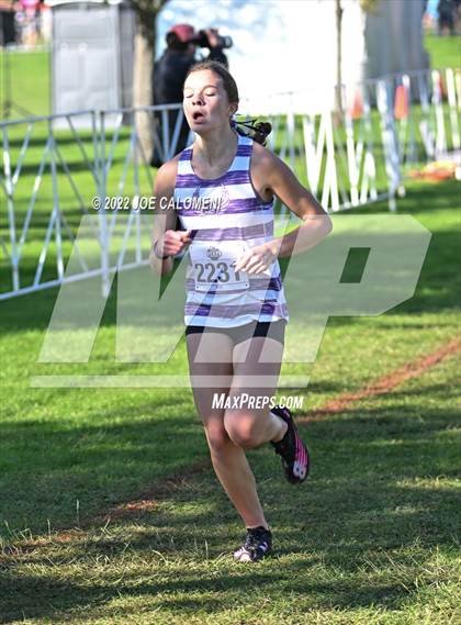 Thumbnail 2 in UIL Cross Country 5A Finals (5K) photogallery.
