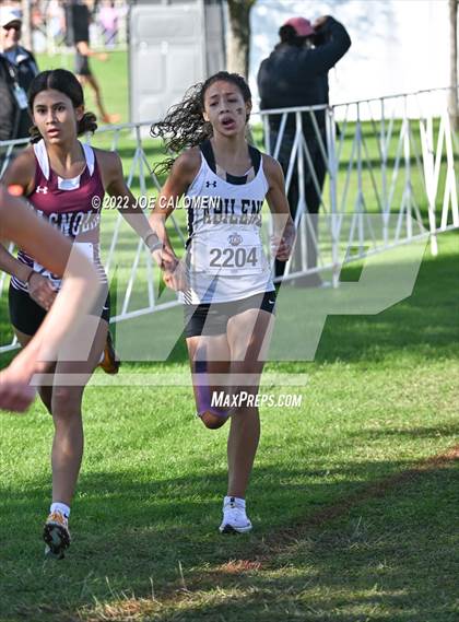 Thumbnail 3 in UIL Cross Country 5A Finals (5K) photogallery.