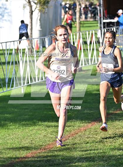 Thumbnail 3 in UIL Cross Country 5A Finals (5K) photogallery.