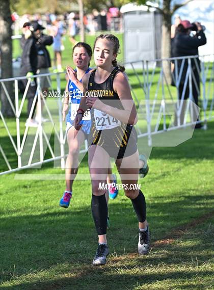 Thumbnail 3 in UIL Cross Country 5A Finals (5K) photogallery.