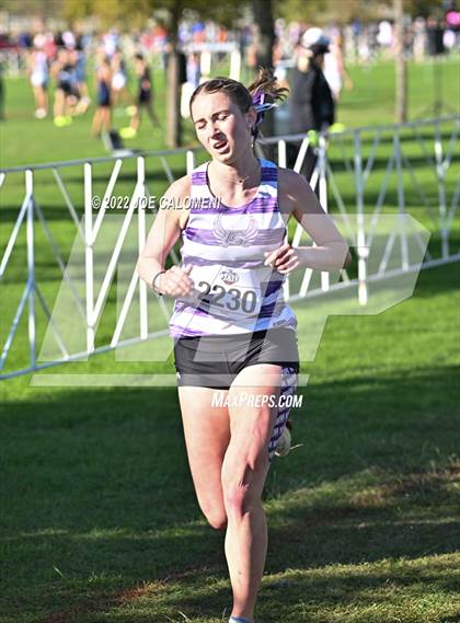 Thumbnail 3 in UIL Cross Country 5A Finals (5K) photogallery.