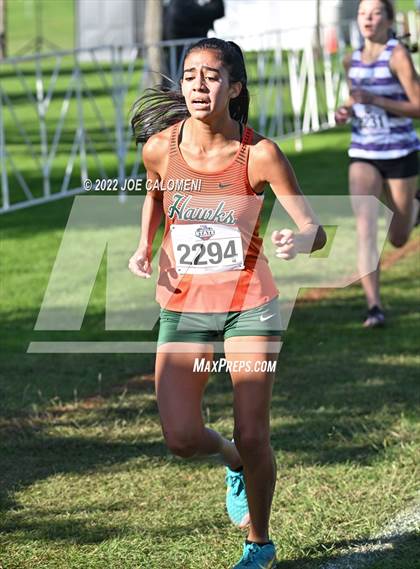 Thumbnail 1 in UIL Cross Country 5A Finals (5K) photogallery.