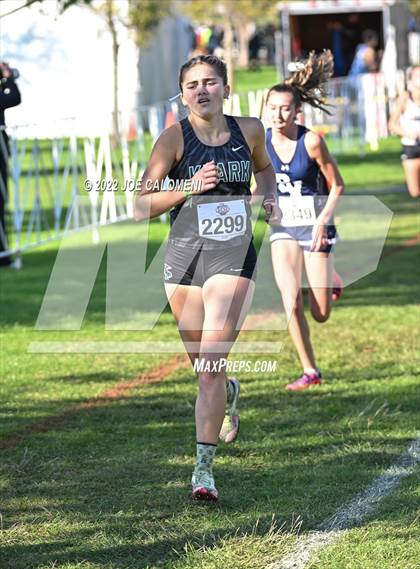 Thumbnail 3 in UIL Cross Country 5A Finals (5K) photogallery.