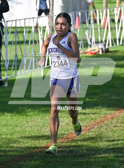 Thumbnail 2 in UIL Cross Country 5A Finals (5K) photogallery.