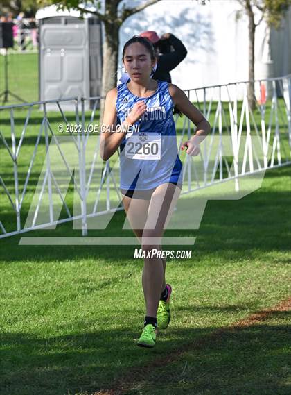 Thumbnail 2 in UIL Cross Country 5A Finals (5K) photogallery.