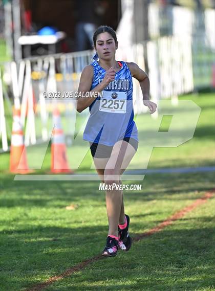 Thumbnail 3 in UIL Cross Country 5A Finals (5K) photogallery.