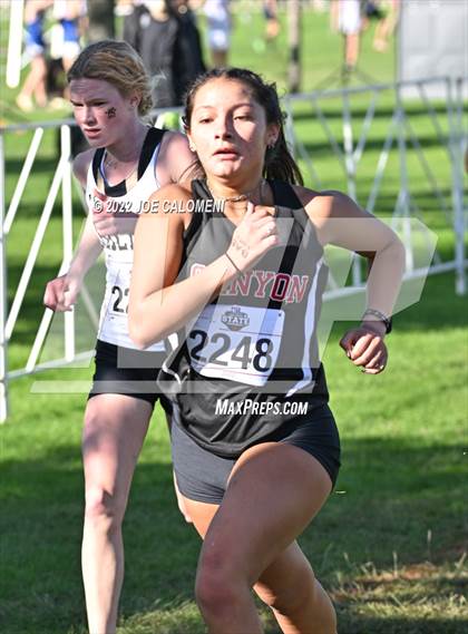 Thumbnail 3 in UIL Cross Country 5A Finals (5K) photogallery.