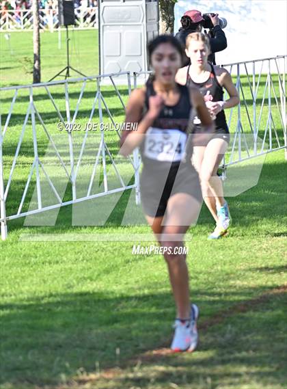 Thumbnail 1 in UIL Cross Country 5A Finals (5K) photogallery.