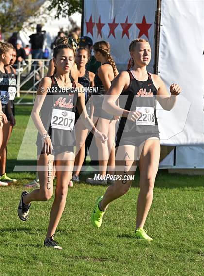 Thumbnail 1 in UIL Cross Country 5A Finals (5K) photogallery.