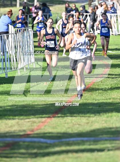 Thumbnail 1 in UIL Cross Country 5A Finals (5K) photogallery.