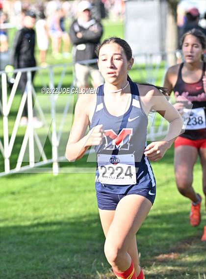 Thumbnail 1 in UIL Cross Country 5A Finals (5K) photogallery.