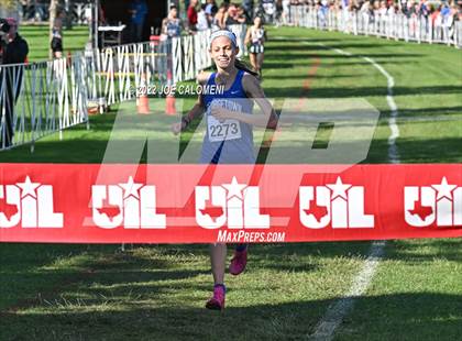 Thumbnail 1 in UIL Cross Country 5A Finals (5K) photogallery.