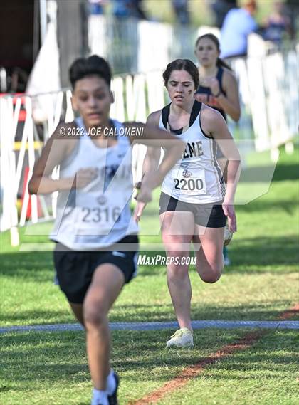 Thumbnail 3 in UIL Cross Country 5A Finals (5K) photogallery.