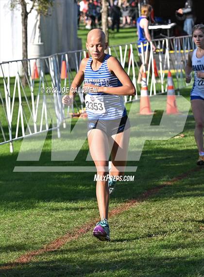 Thumbnail 3 in UIL Cross Country 5A Finals (5K) photogallery.