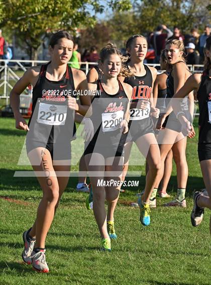 Thumbnail 1 in UIL Cross Country 5A Finals (5K) photogallery.