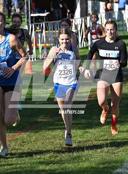 Thumbnail 1 in UIL Cross Country 5A Finals (5K) photogallery.