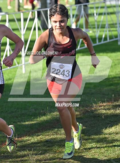 Thumbnail 3 in UIL Cross Country 5A Finals (5K) photogallery.