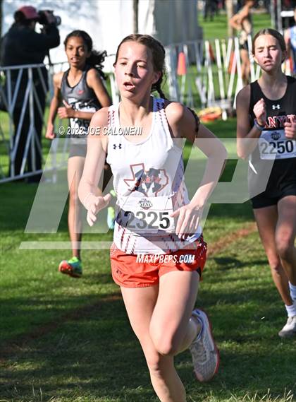 Thumbnail 3 in UIL Cross Country 5A Finals (5K) photogallery.