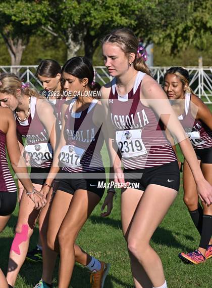 Thumbnail 3 in UIL Cross Country 5A Finals (5K) photogallery.