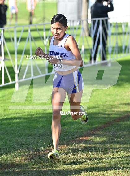Thumbnail 1 in UIL Cross Country 5A Finals (5K) photogallery.