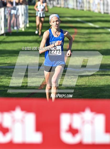 Thumbnail 1 in UIL Cross Country 5A Finals (5K) photogallery.