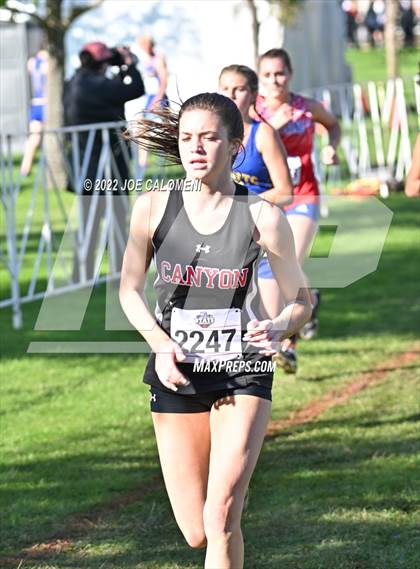 Thumbnail 1 in UIL Cross Country 5A Finals (5K) photogallery.